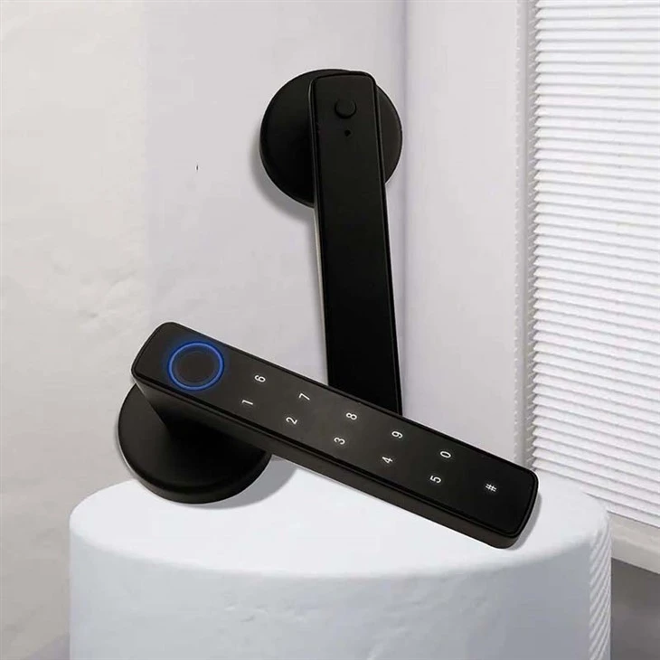 Smart Front Door Lock With Handle factory